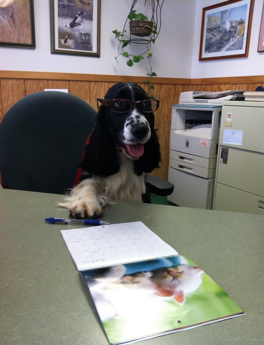 We all know Mom did silly stuf like this.