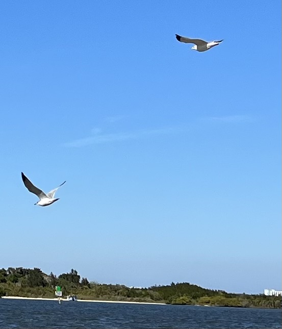 fly high from earthly bonds