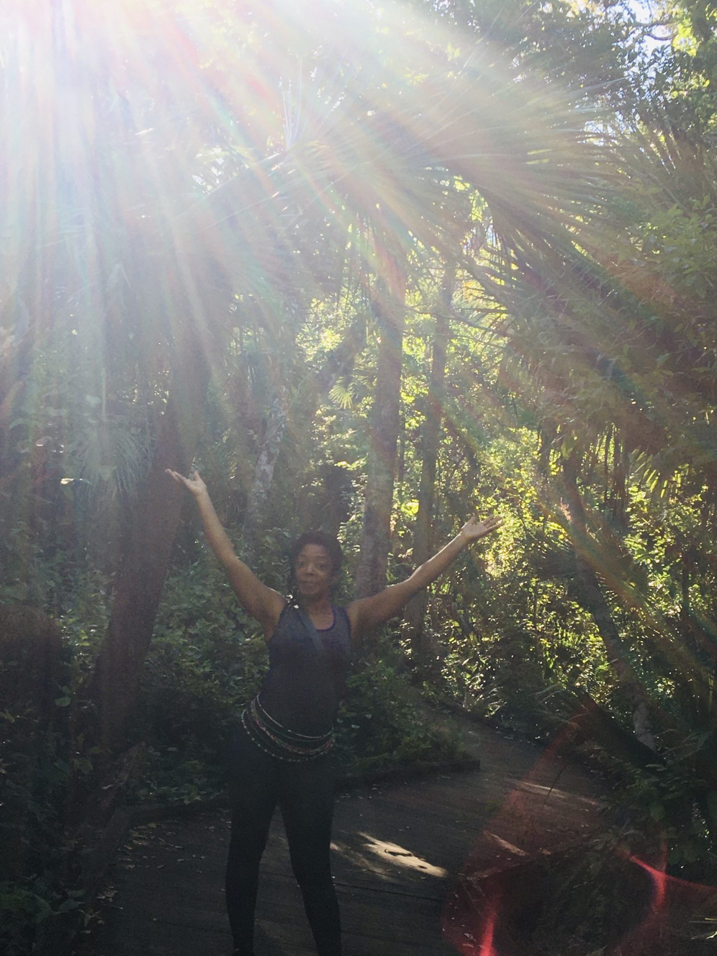 Among the trees