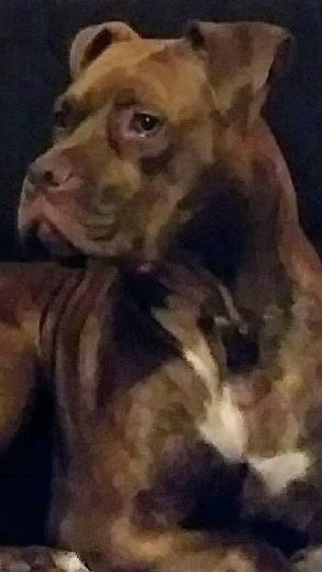 Duke